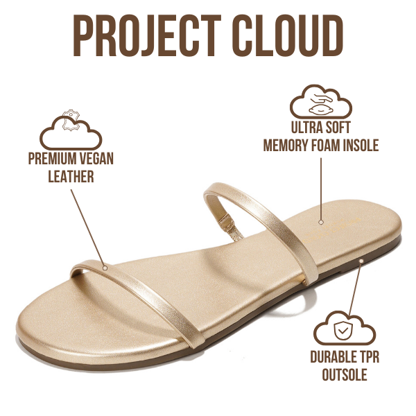 Project Cloud | "Transition" Flip Flops for Women | Vegan Leather | Memory Foam | Non-Slip